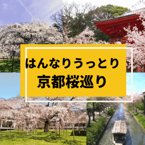 はんなりうっとり京都桜巡りツアー