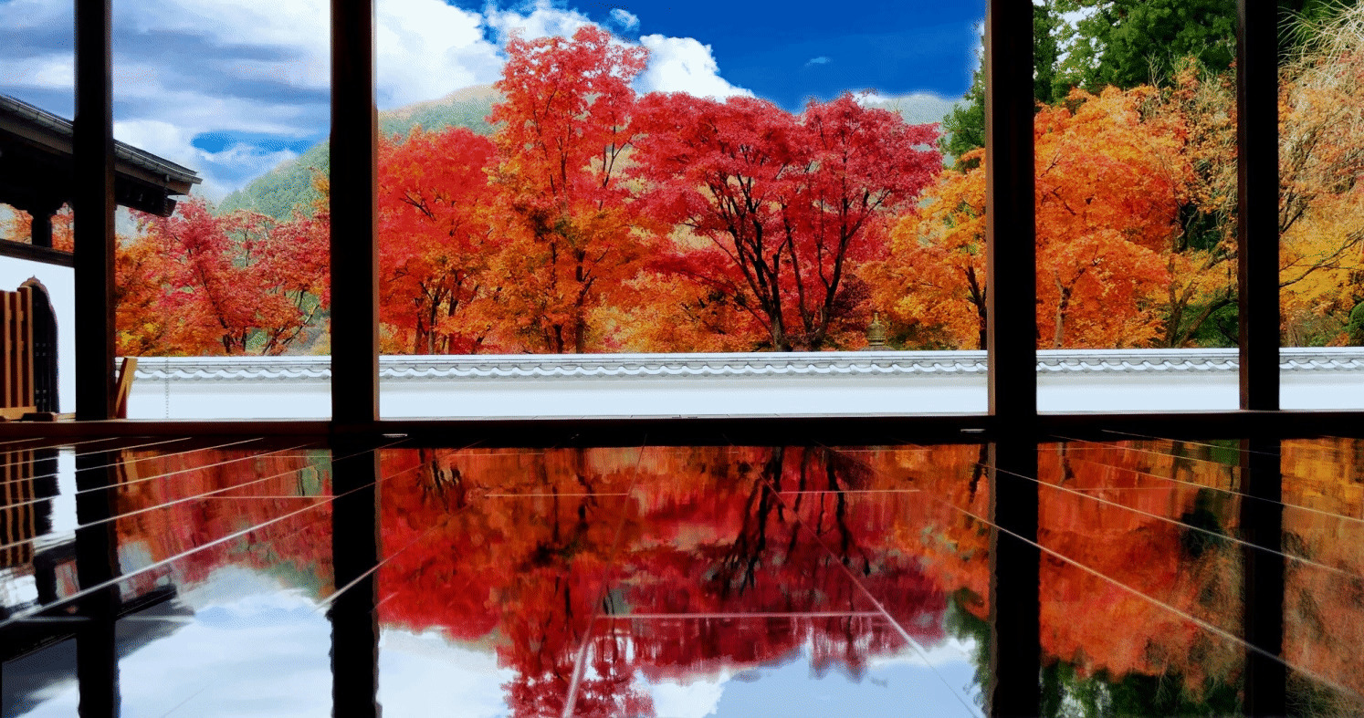 宝徳寺の床紅葉