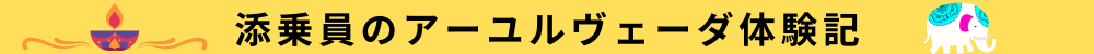 アーユルヴェーダ体験記