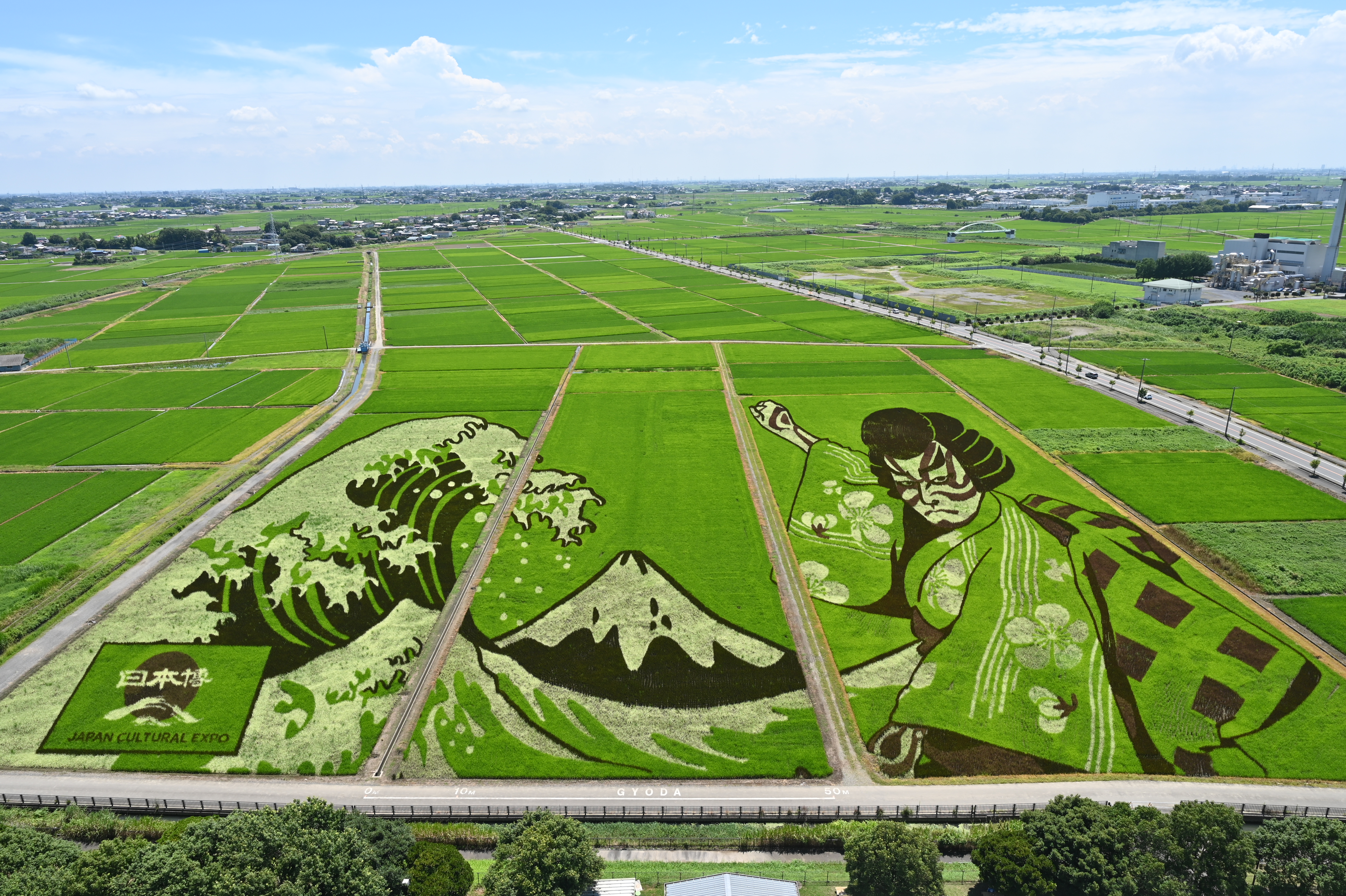 行田田んぼアート