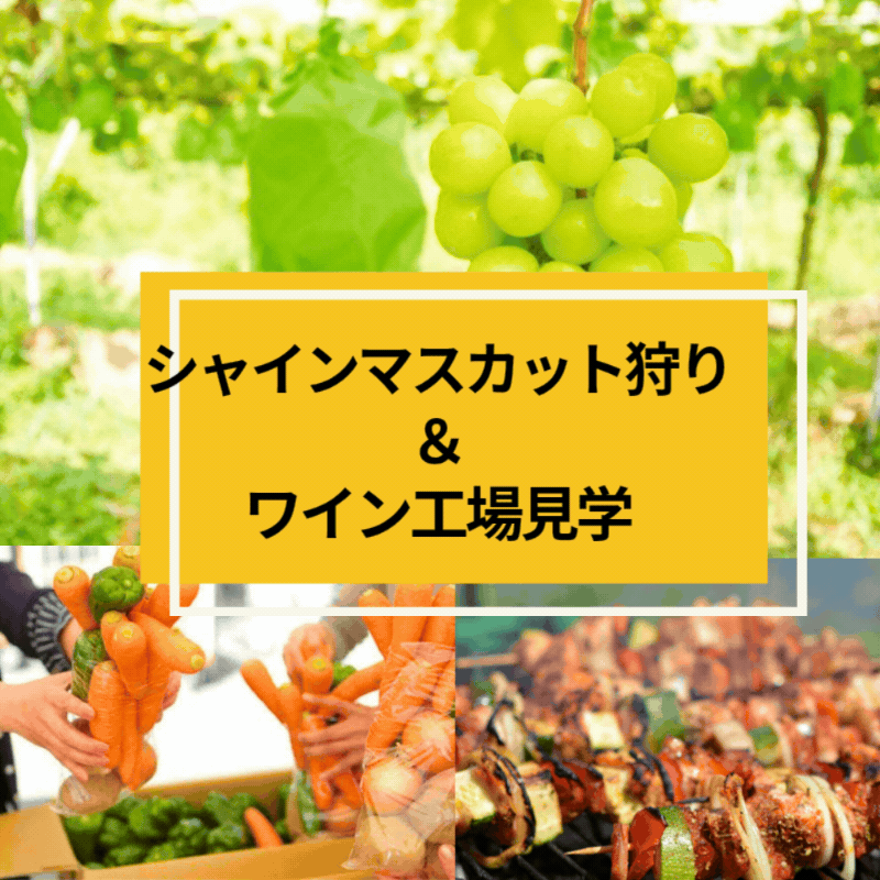 2026年10/4(日) シャインマスカット狩り&ぶどうの丘BBQ・ワイン工場見学・野菜詰め放題ツアー